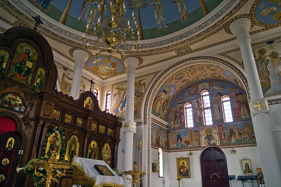   2007 .